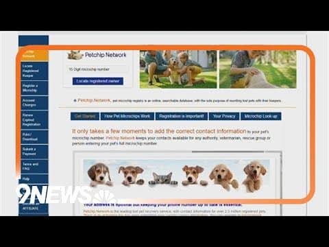 Suspicious email about microchips sent to pet owners