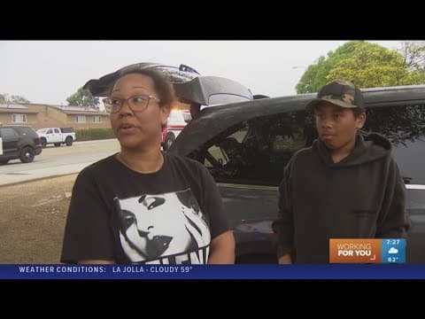 'We ran outside and saw sparks flying outside' Resident describes scene after San Diego plane crash