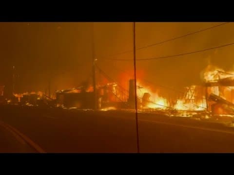 Weather Impact Alert: 12PM update | Five wildfires devastate LA, San Diego helps shelters animals