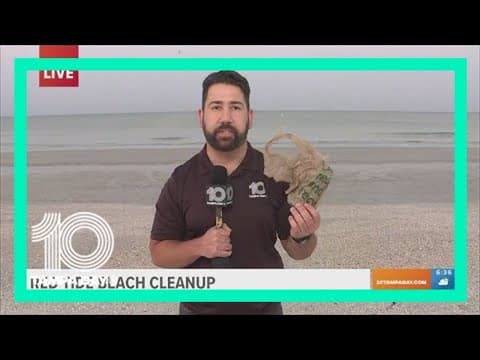 Red tide forecast: Beachgoers could experience respiratory irritation at some Tampa Bay area beaches