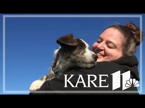 Minnesota rescue helps pups stranded by Hurricane Helene