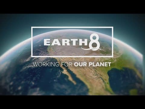 Helping out the Agua Hedionda Lagoon | Working for our Planet