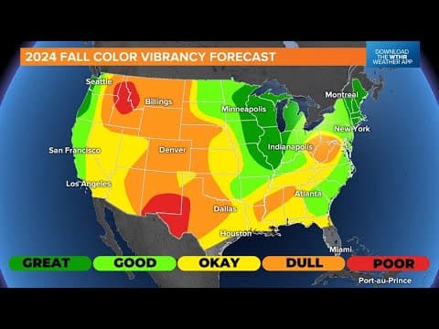 Fall foliage 2024 forecast | How colorful will the leaves be? I Live Doppler 13 Weather Blog