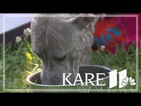 'Canines for Clean Water' held at Loring Park Thursday