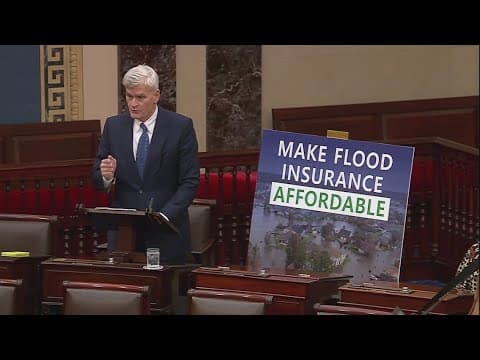 Louisiana residents could see flood insurance relief with new bill