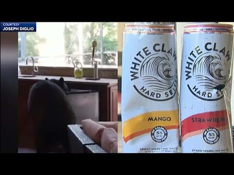 Three-legged bear breaks into Florida home, chugs White Claws