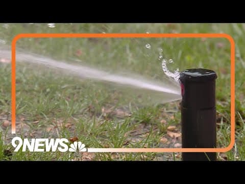 Denver Water offers $750 discount for Kentucky bluegrass turf replacement