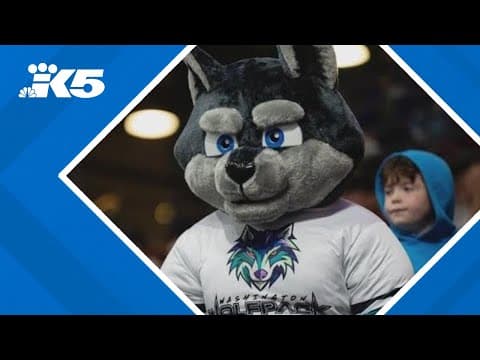 Arena football squad Washington Wolfpack 'howls' into second season in Everett