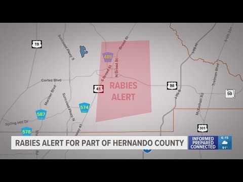 Rabies case confirmed in Hernando County