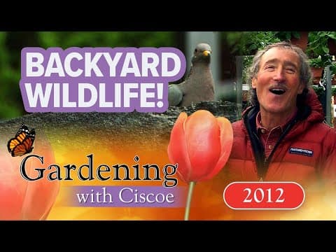 BACKYARD WILDLIFE! Bring Nature to Your Garden! | Gardening With Ciscoe | Full Episode