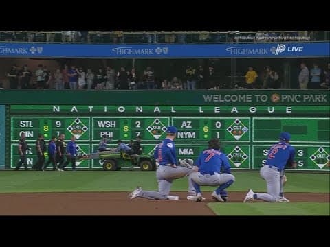 Fan who fell out of the stands at Cubs vs. Pirates game identified as 21-year-old