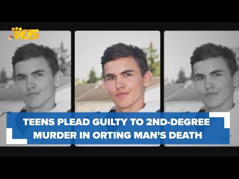 Teens plead guilty to 2nd-degree murder, face up to 10 years for Orting man's death