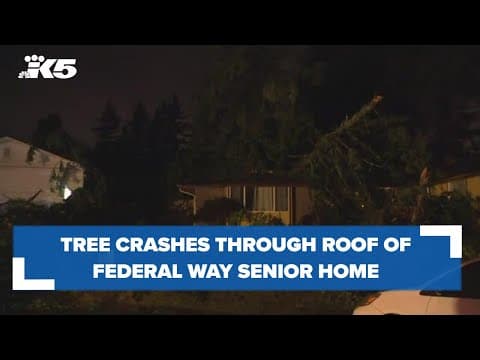 Tree falls on senior living home in Federal Way