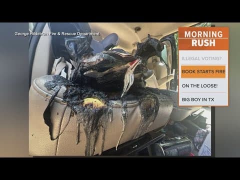 Battery inside a children's book catches fire, burning minivan