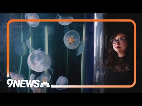 CU engineer's 'Cyborg jellyfish' could change how we explore the ocean