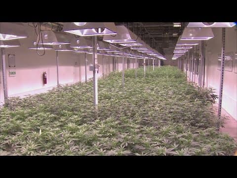 Ohio leaders meet to discuss how to roll out state's new recreational marijuana program