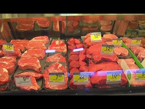 Meat prices are rising, so it may be time to look for an protein alternatives