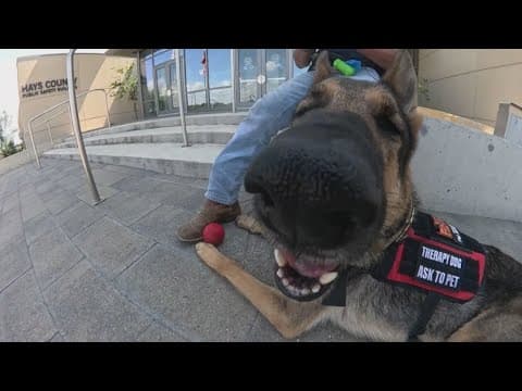 This Austin-area sheriff's office is taking a new, furry approach to mental health support