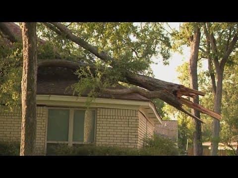 Hurricane Beryl leaves path of destruction in Fort Bend County
