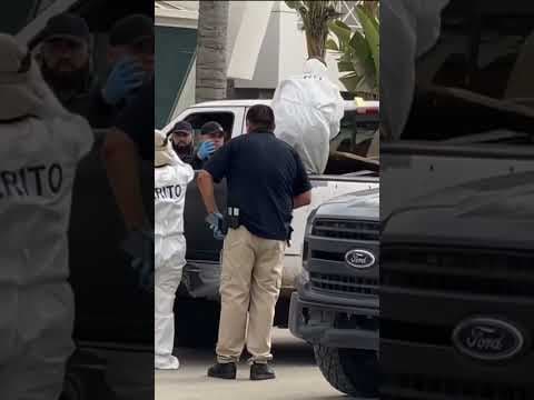 A grim discover in Tijuana | 7 dead bodies in a pickup truck with California license plates
