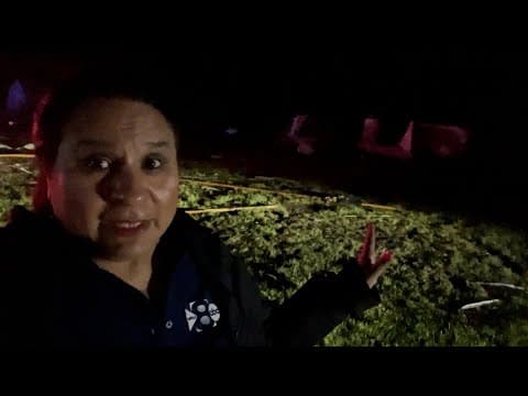 Storm damage in Celina, Texas: Roofs gone and homes damaged following reports of a tornado on May 25