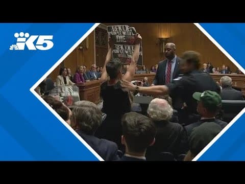 Protesters interrupt RFK Jr. during Senate hearing