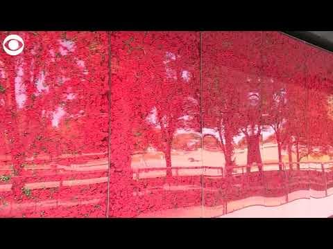 Poppy Wall of Honor installation returns to Washington, D.C. ahead of Memorial Day