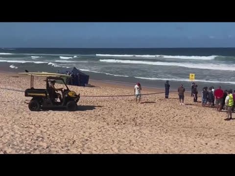Surfer killed in shark attack at Sydney’s Long Reef Beach