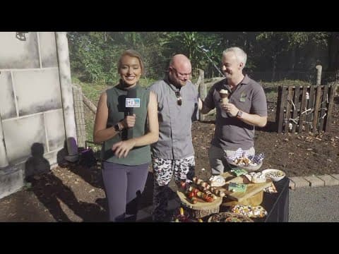 Boo! at the Zoo offers some yummy snacks!