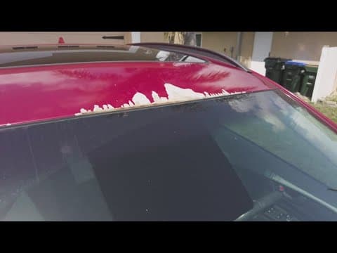 Thousands of drivers report car paint peeling off in sheets