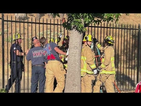 Lakeside Fire rescues man impaled by fence after falling from tree
