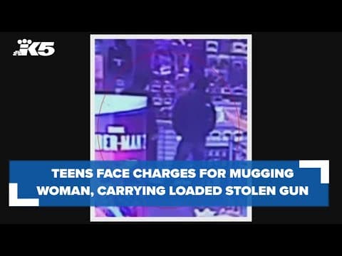 Two teens face charges for mugging woman while carrying a loaded stolen firearm