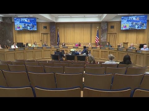 Louisiana's child sexual abuse task force has first meeting