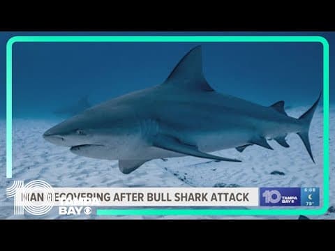 Man recovering after bull shark attack near Key West