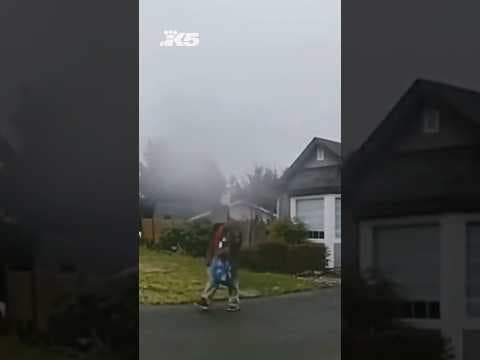 Police arrest prowler posing as UPS worker