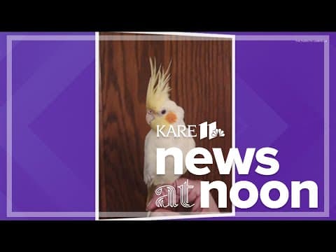 Local bird rescue provides resources for pet owners