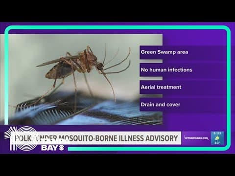 Mosquito-borne disease buzzing around Polk County