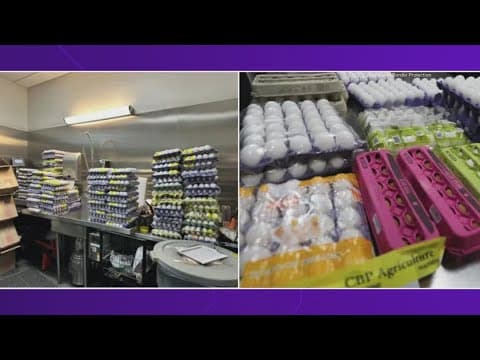 Border Patrol says there is a significant increase in egg smuggling over the border