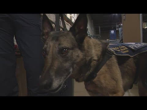 Virginia Task Force One returns from Texas flooding