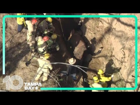 Watch firefighters heroically save horse trapped on its side in narrow California ditch