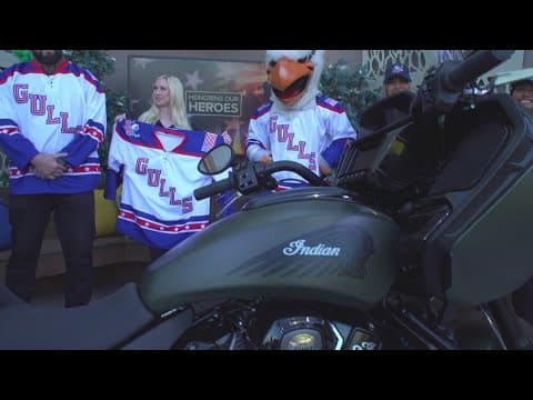 San Diego Gulls to celebrate Veterans Day on Nov 11