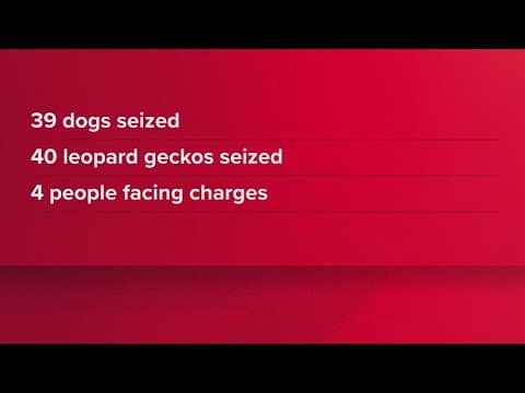 39 dogs suspected of being used in dogfighting seized in Franklin County