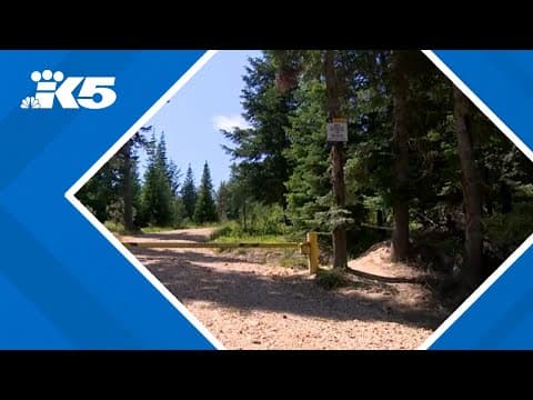 Authorities debunk popular TikTok claiming Decker arrest