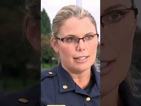 Bellevue burglary suspect strangles officer, steals police car