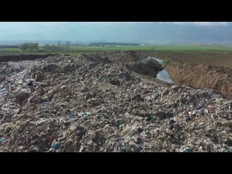 Recycling Christmas Trees in the New Year | Environment Matters