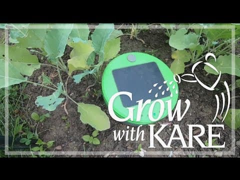 Grow with KARE: Meet Tertill
