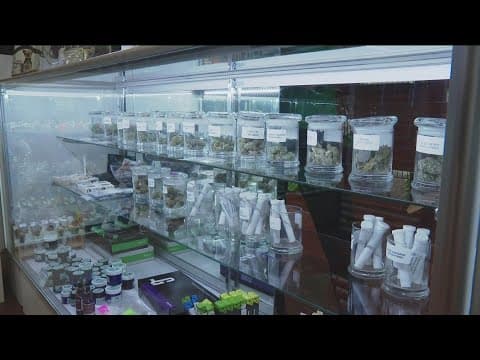 Cannabis cafes could be coming to California