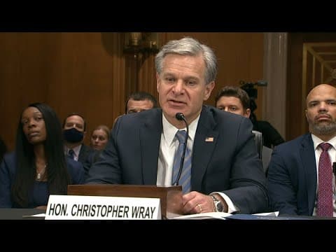 FBI Director Christopher Wray on terror threats, mentioning arrest in Houston