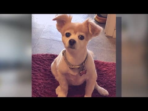 Los Angeles-based cremation company is a scam, couple says