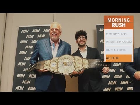 AEW All In: Texas comes to Arlington's Globe Life Field